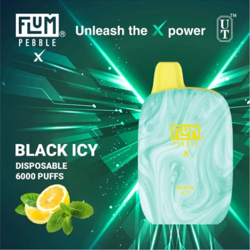 Flum Pebble 6000 Puffs Disposable