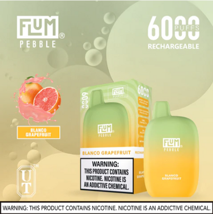 Flum Pebble 6000 Puffs Disposable