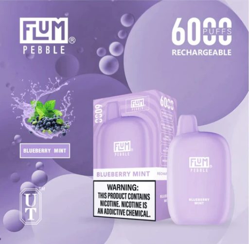 Flum Pebble 6000 Puffs Disposable