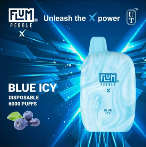 Flum Pebble 6000 Puffs Disposable