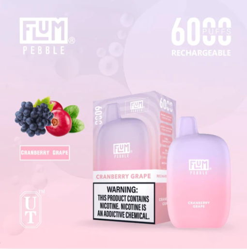 Flum Pebble 6000 Puffs Disposable