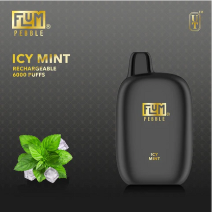 Flum Pebble 6000 Puffs Disposable