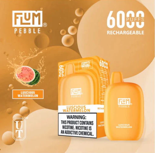 Flum Pebble 6000 Puffs Disposable