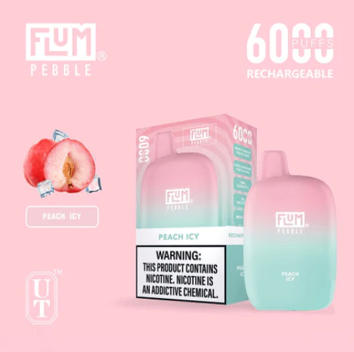 Flum Pebble 6000 Puffs Disposable