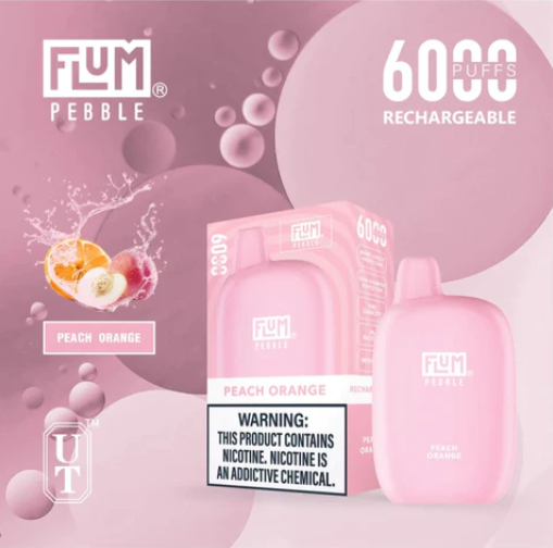 Flum Pebble 6000 Puffs Disposable