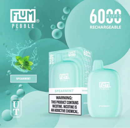 Flum Pebble 6000 Puffs Disposable