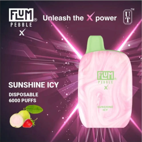 Flum Pebble 6000 Puffs Disposable